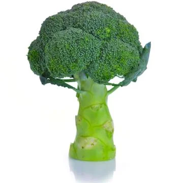 Broccoli vegetable Stock Photos