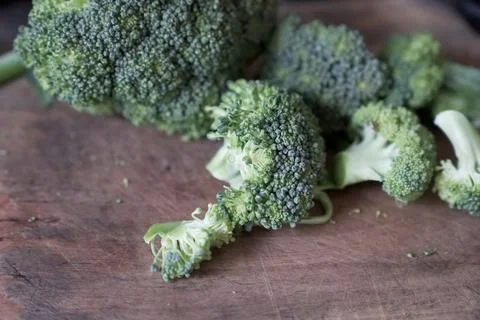 Broccoli vegetable Stock Photos