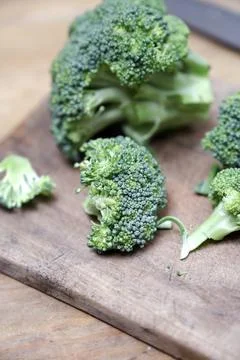 Broccoli vegetable Stock Photos