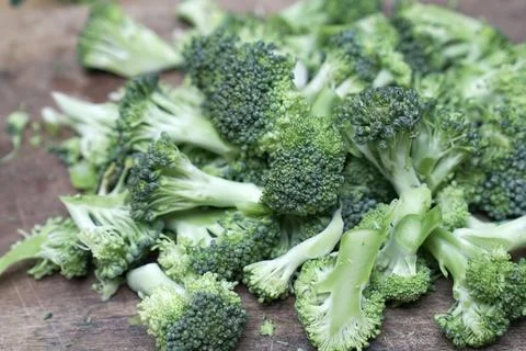 Broccoli vegetable Stock Photos