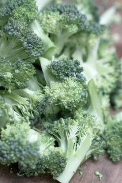 Broccoli vegetable Stock Photos