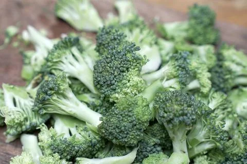 Broccoli vegetable Stock Photos