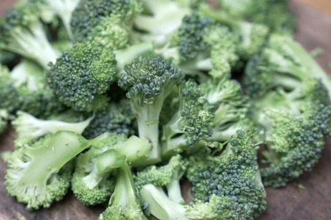 Broccoli vegetable Stock Photos