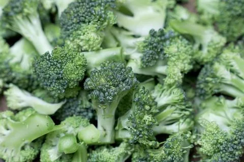 Broccoli vegetable Stock Photos