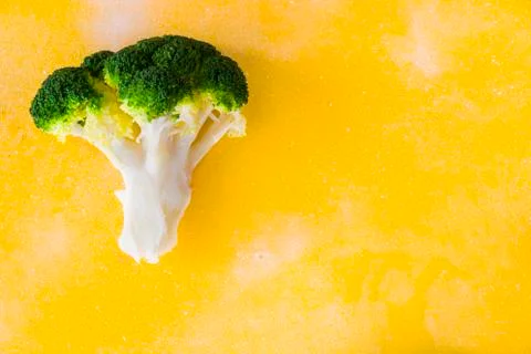 Broccoli vegetable like a tree, broccoli forests on the background Stock Photos