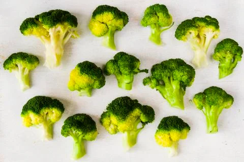 Broccoli vegetable like a tree, broccoli forests on the white background Stock Photos