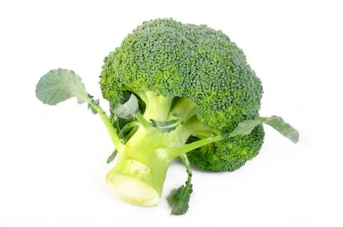 Broccoli vegetable on white background Stock Photos