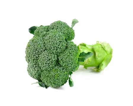 Broccoli vegetable on white background Stock Photos