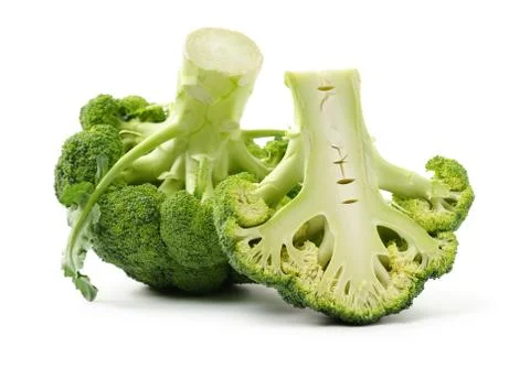 Broccoli vegetable on white background  Stock Photos