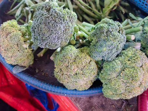 Broccoli vegetables Stock Photos