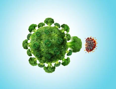 Broccoli vs corona virus Stock Photos