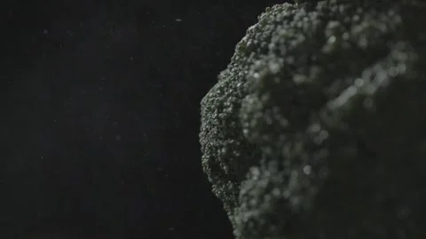 Broccoli with water drops on dark background Stock Footage 146948146