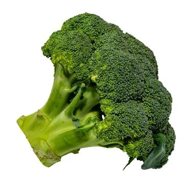 Broccoli on a white background. Cabbage isolate Stock Photos
