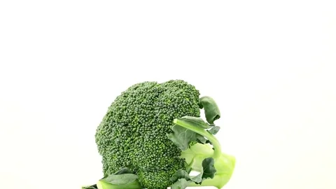 The broccoli on the white background Stock-Footage 91799462