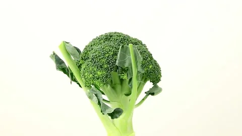 The broccoli on white background Stock-Footage 92601587