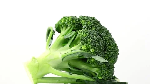 The broccoli on white background Stock Footage 92601640