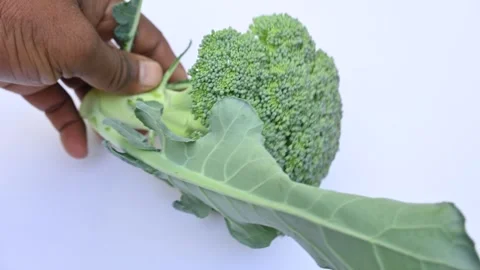 Broccoli on white background. Video stock 261687153