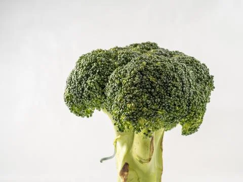 Broccoli on a white background. Head of broccoli. Stock Photos