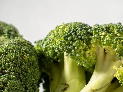 Broccoli on a white background. Head of broccoli. Stock Photos