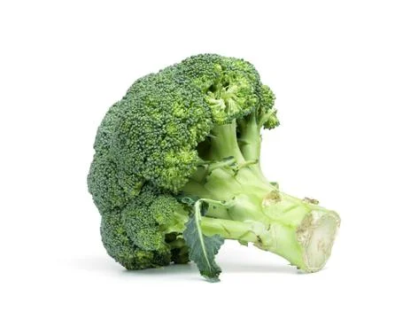 Broccoli on white background Stock Photos