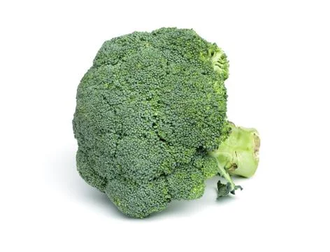 Broccoli on white background Stock Photos