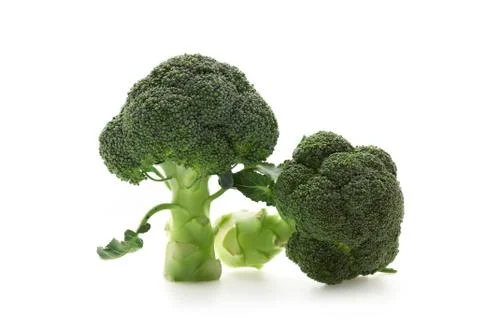 Broccoli on white background Stock Photos