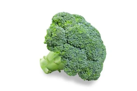 Broccoli on a white background Stock Photos