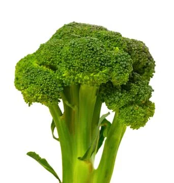 Broccoli on white background. Stock Photos