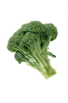 Broccoli on white background Stock Photos