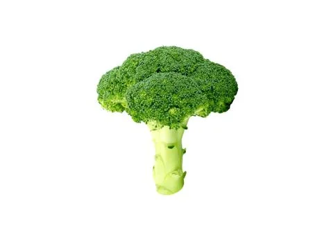 Broccoli on White Background Stock Photos