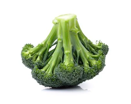 Broccoli on white background Stock Photos