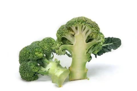 Broccoli on white background Stock Photos