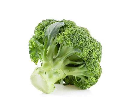Broccoli on white background Stock Photos
