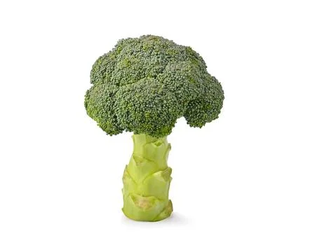 Broccoli on white background Stock Photos