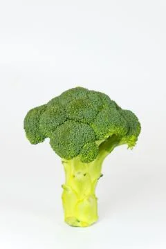Broccoli on a white background. Stock Photos