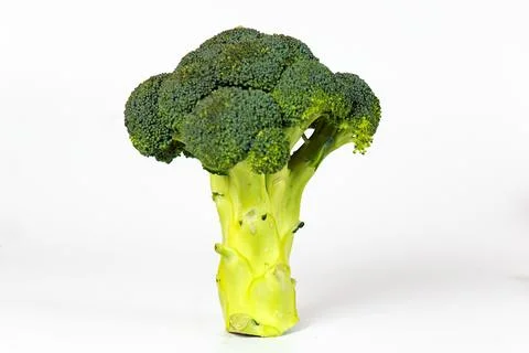 Broccoli on a white background. Stock Photos
