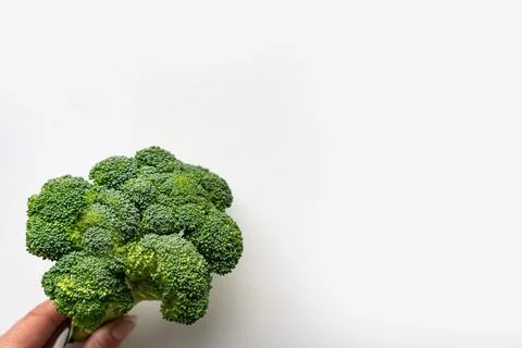 Broccoli on white background with place for text Stock Photos
