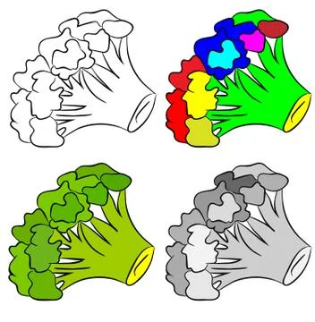 Broccoli on white background. Vector illustration. Stock Illustration
