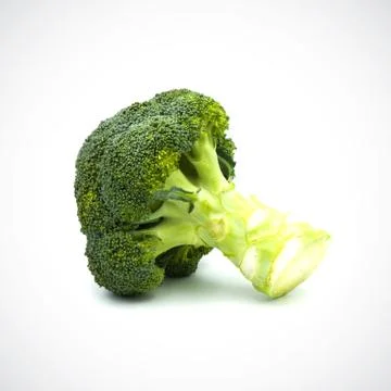Broccoli on the white blackground Stock Photos