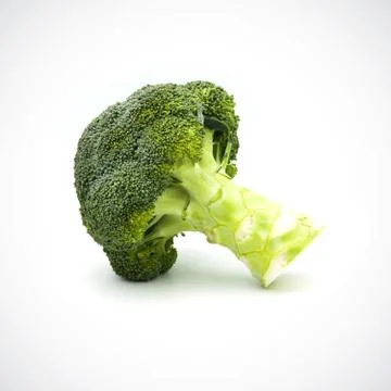 Broccoli on the white blackground Stock Photos