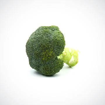 Broccoli on the white blackground Stock Photos