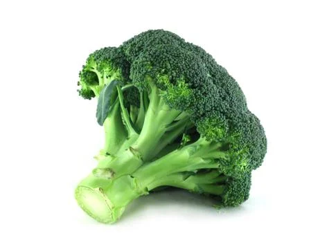 Broccoli on white Stock Photos