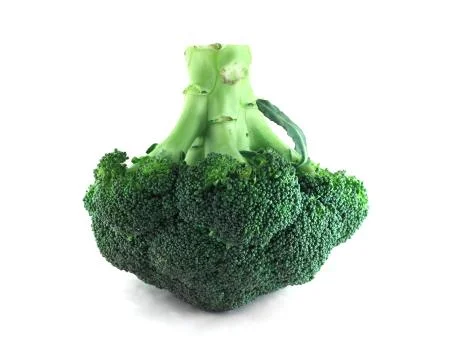 Broccoli on white Stock Photos