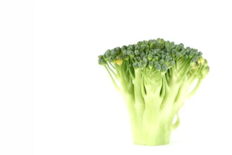 Broccoli on white Stock Photos