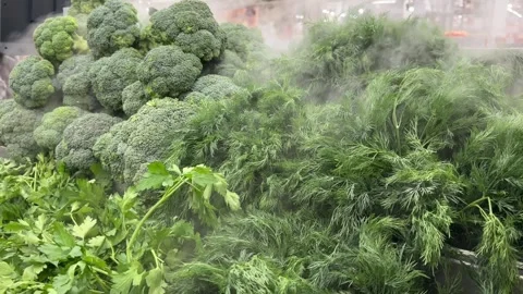 Broccoli2 Stock Footage 275795388