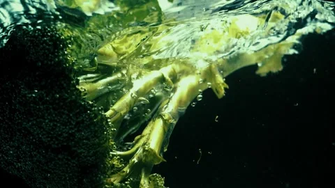 Broccolini Drops and Splashes in Water Stock Footage 300890471