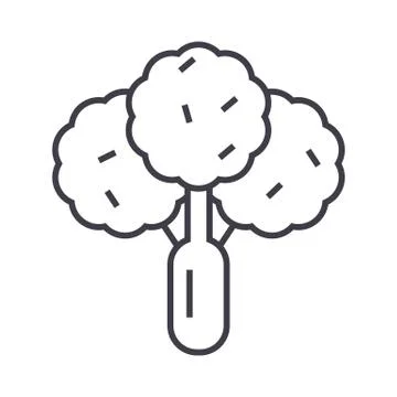 Broccoli,salad vector line icon, sign, illustration on background, editable Stock Illustration