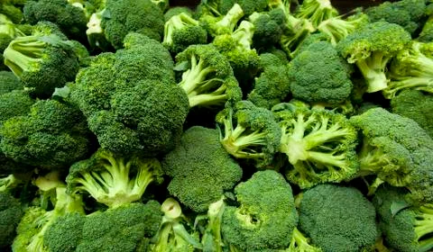 Broccolli Foto stock
