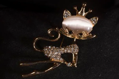 Broche shaped as cat Stock Photos