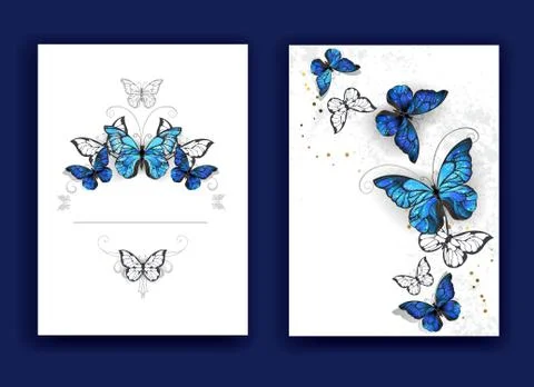 Brochure design with butterflies morpho Stock Illustration